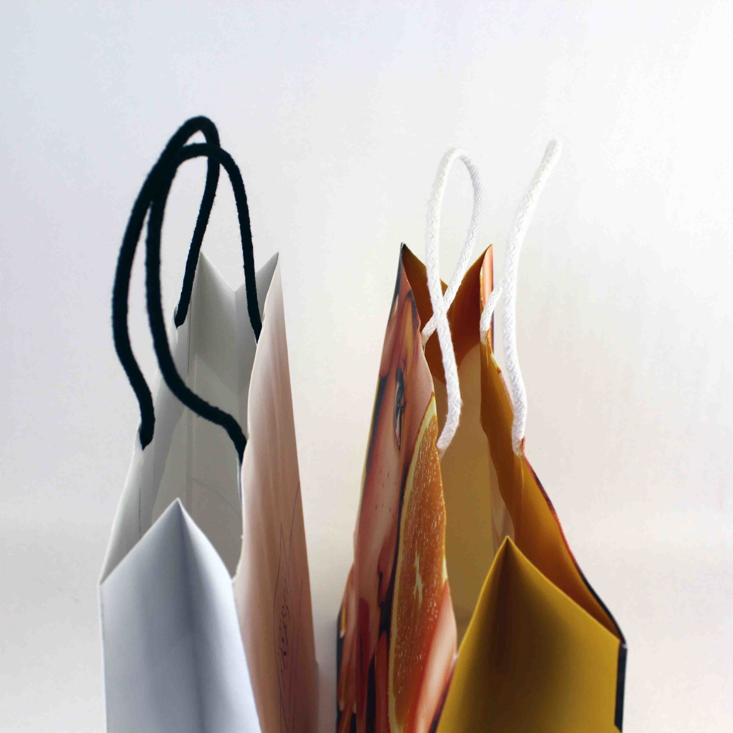 Twisted handle paper bag - Bag manufacturers