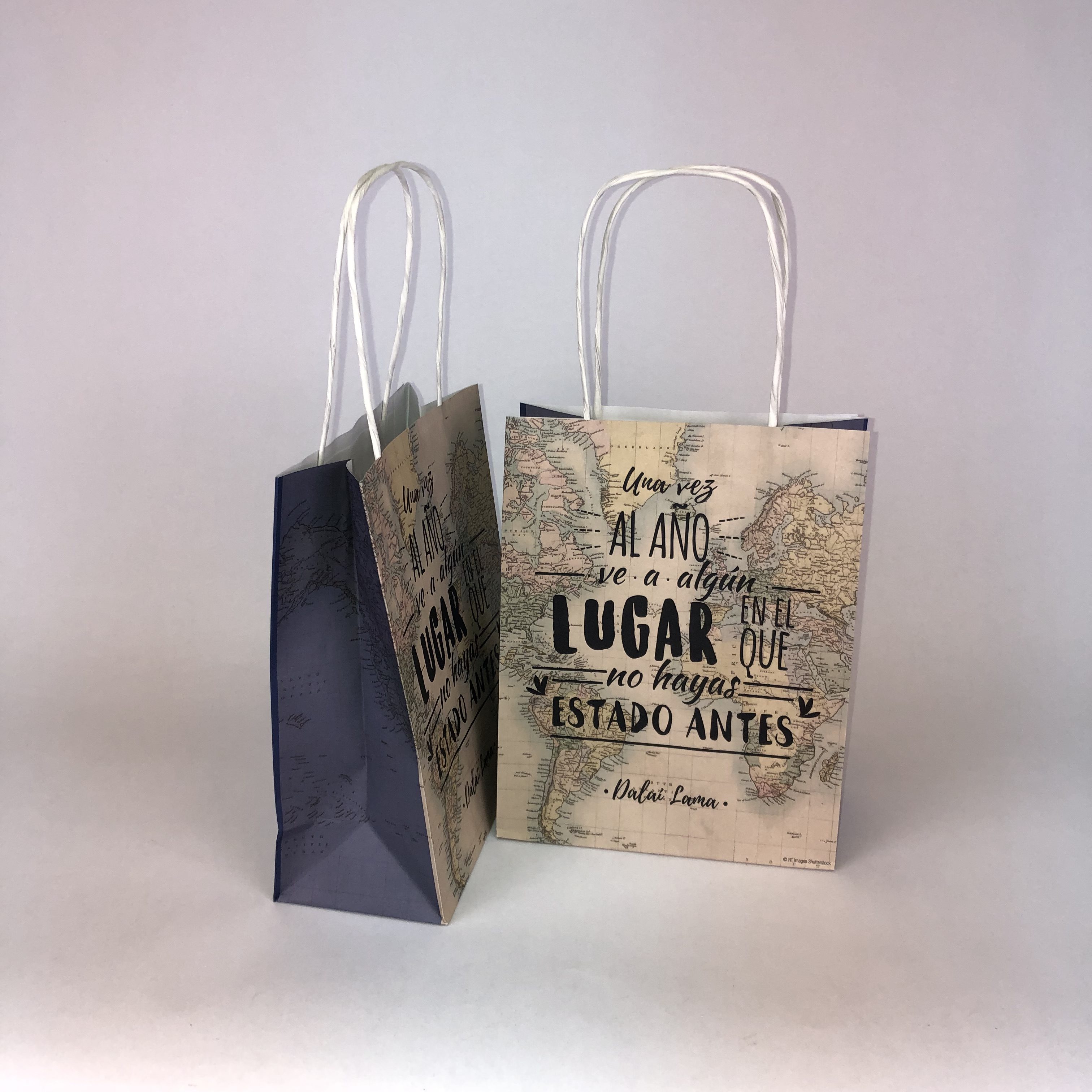 Paper Twist Handle Bags - Ribbon & Blues